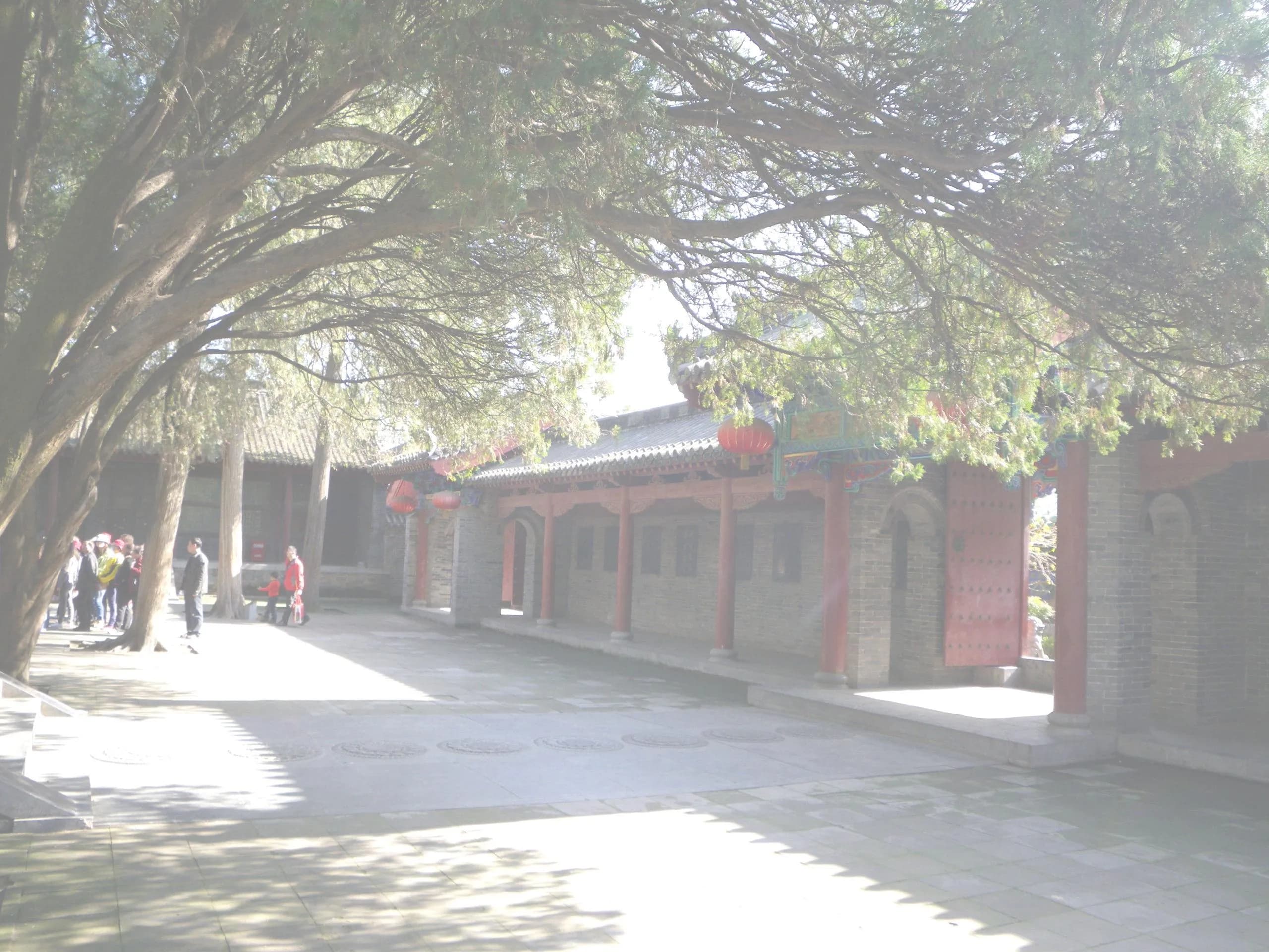 Yong Chun Kung Fu